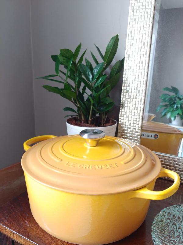 My Williams Sonoma Round Wide Dutch Oven, 6 3/4-Qt. in Lapis is here! In  store experience not great, but online perfect order. : r/LeCreuset