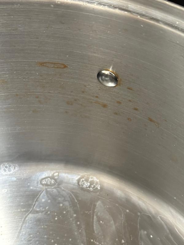 Williams Sonoma Stainless-Steel Perforated Stock pot - 8-Qt