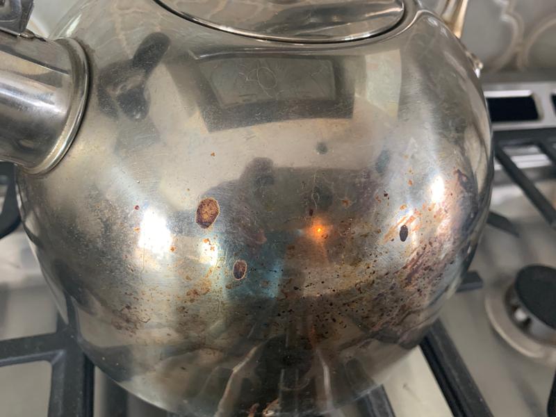 Williams Sonoma Rapid Boil Tea Kettle