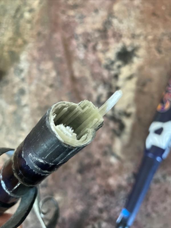 Photo submitted with review of product