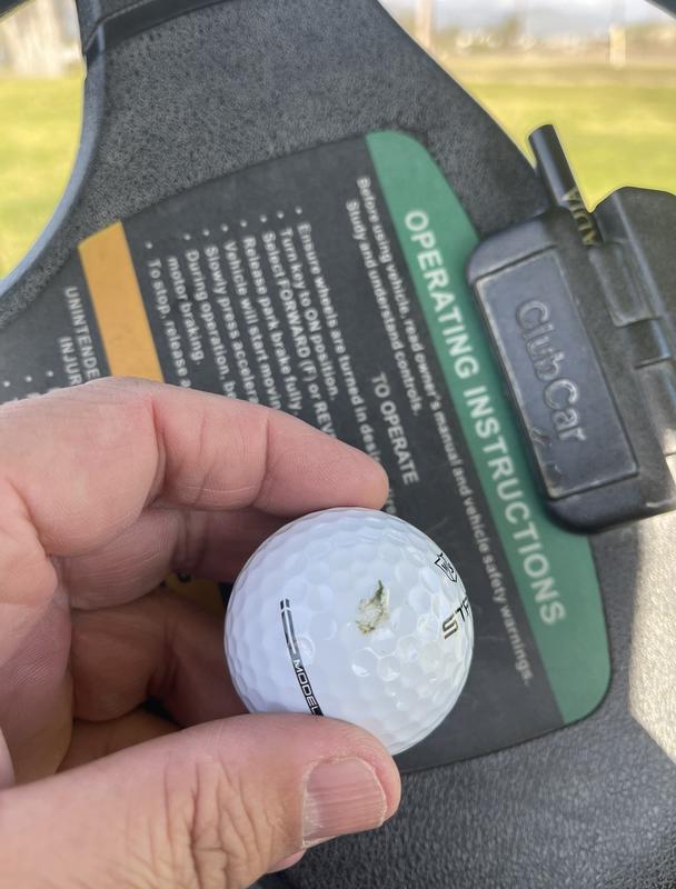 Photo submitted with review of product