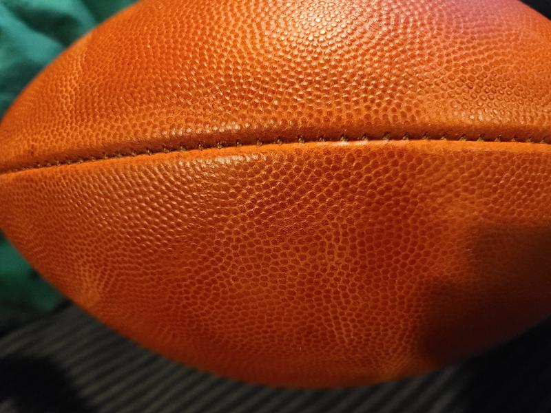 NFL Official 2020 Authentic Leather Game Football by Wilson (Signed by  Roger Goodell) Model F1100