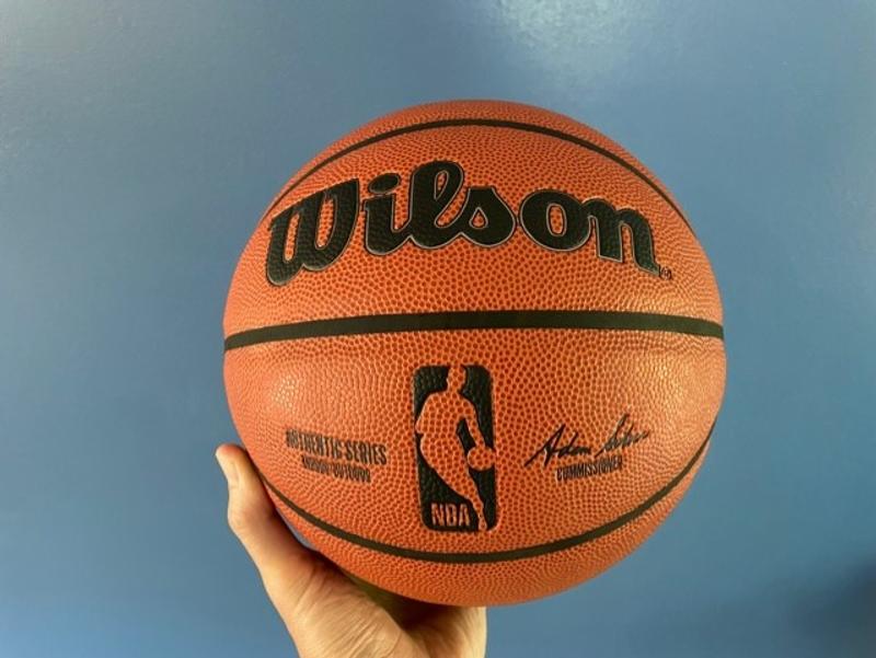 WILSON NBA Authentic Outdoor Basketball - Size 6-28.5, Brown, Basketballs  -  Canada