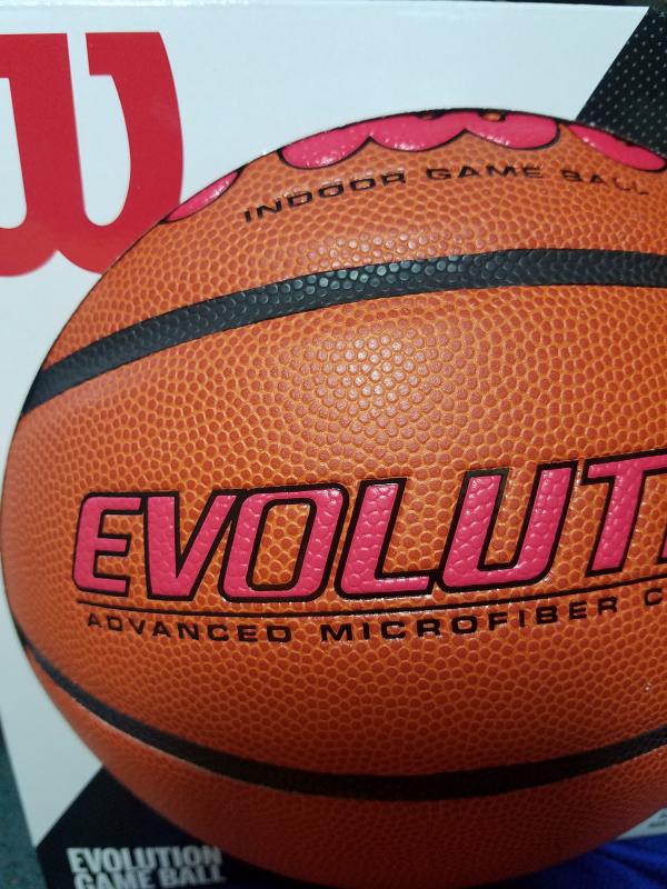 Evolution Game Basketball with Custom Logo, Royal Size 7 | Wilson 