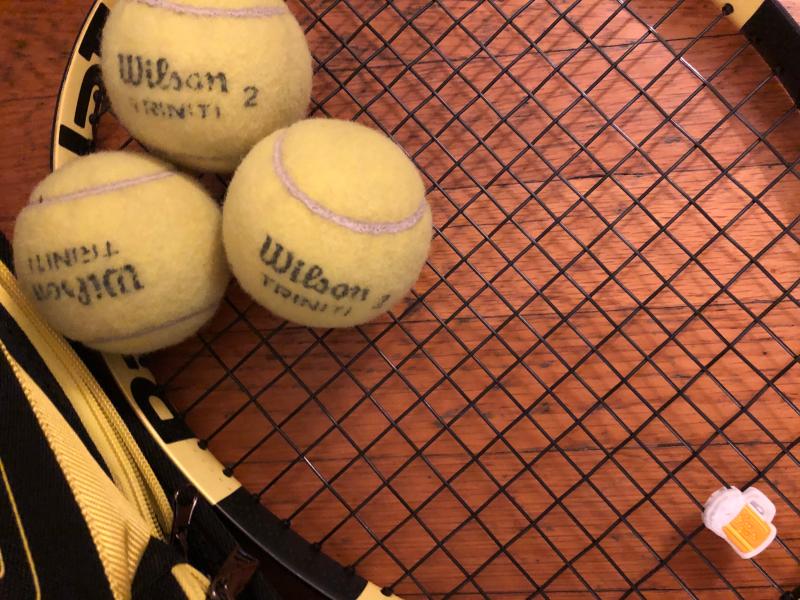 Wilson Triniti Pro Tennis Ball (24 can case)