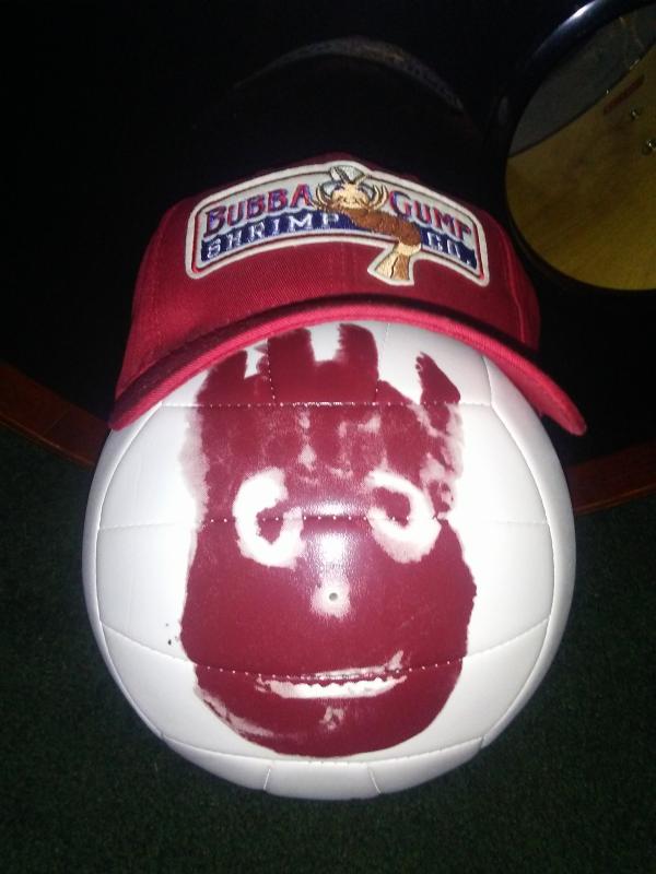 Cast Away Volleyball  Wilson Sporting Goods