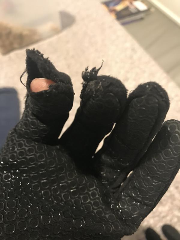 Photo submitted with review of product