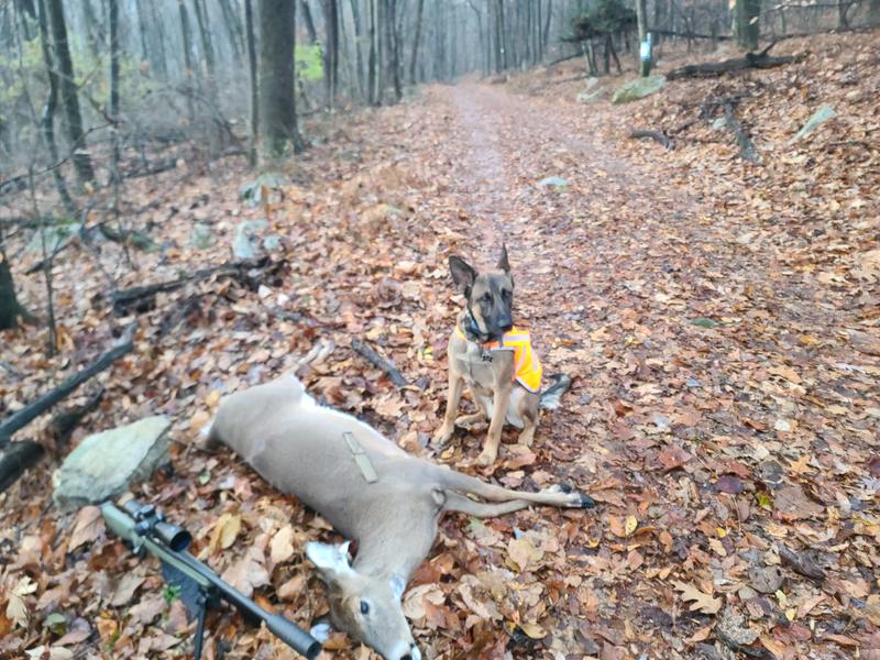 X76239DS | Winchester Ammunition