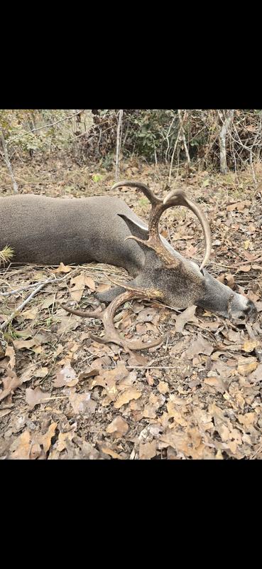 Photo - commentaire 1.