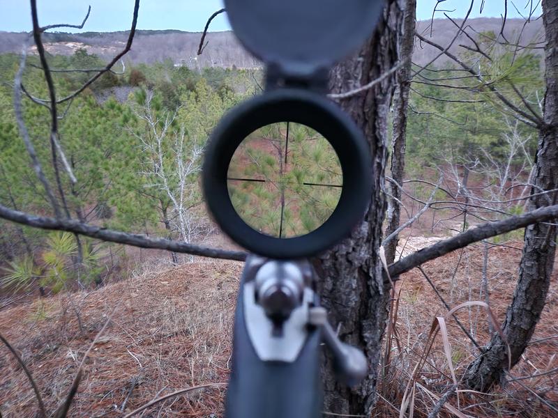 What a view