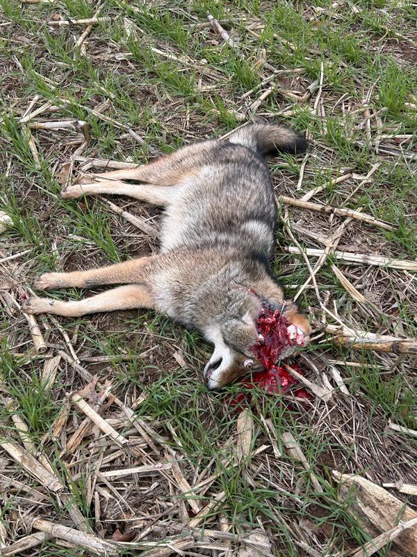 Photo - commentaire 6.