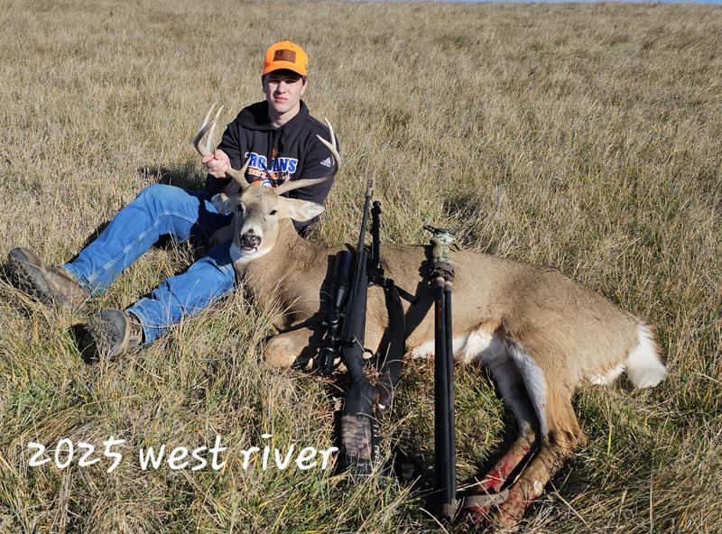 Photo - commentaire&nbsp;2.