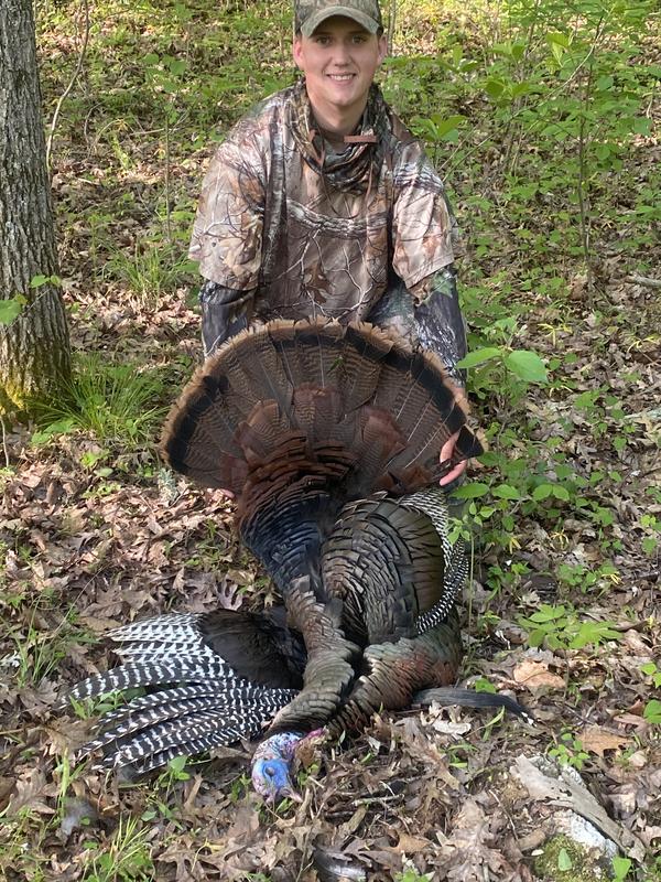 Photo - commentaire&nbsp;6.