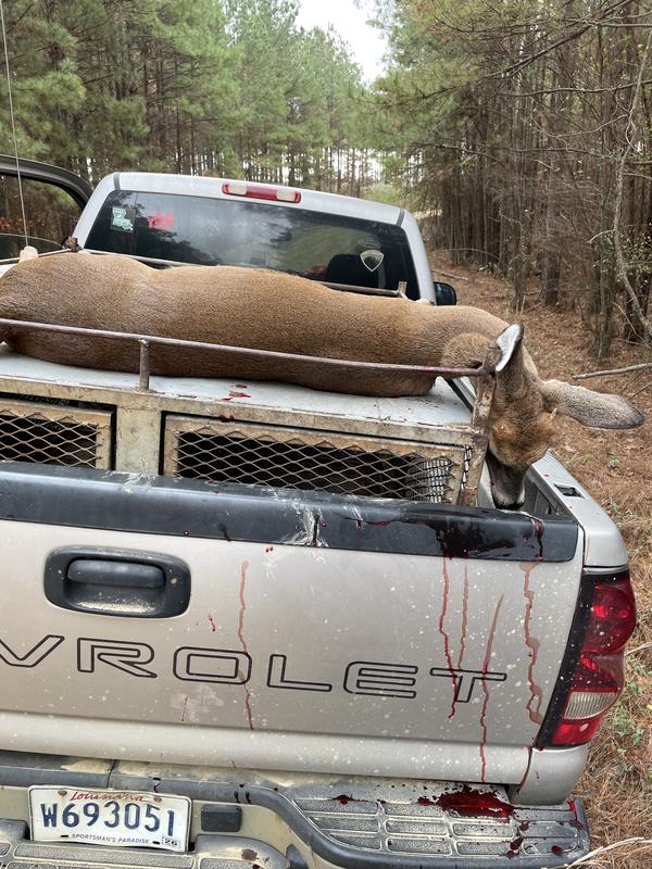 Great bullet shoot the best in my 308