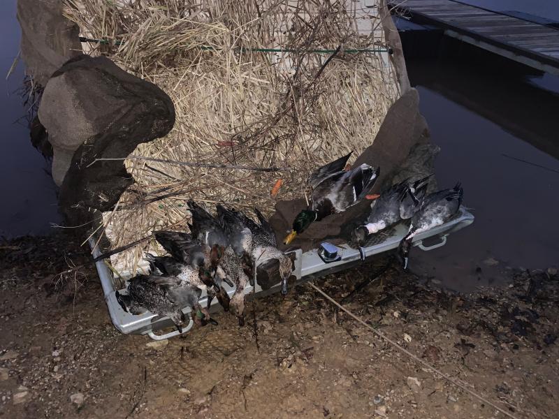 The first of a many good days shooting Winchester Blind Side!