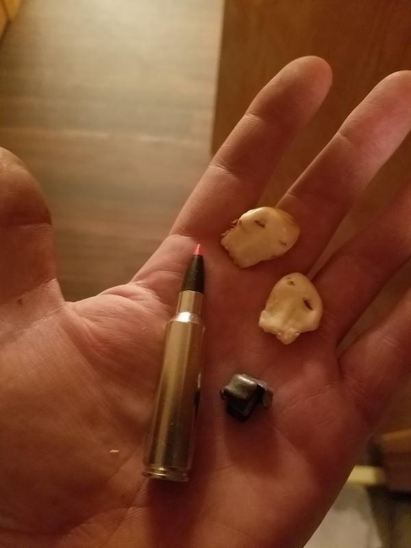 Same expansion every time..