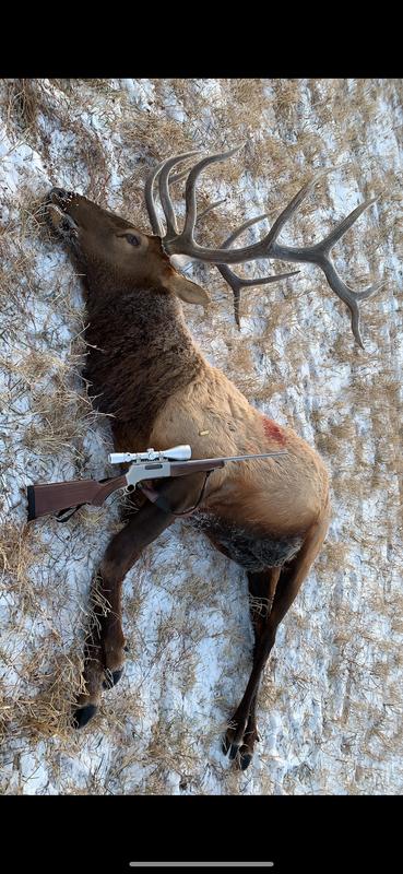Winchester Deer Season .30-06 Ammunition, 150 g | Canadian Tire