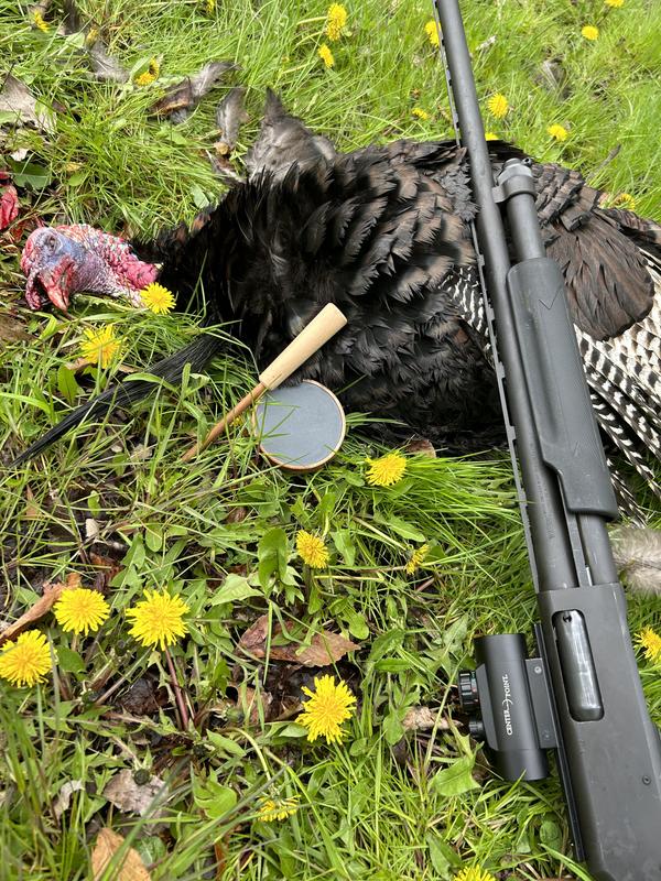 Michigan 2023 spring harvest at 10 yards