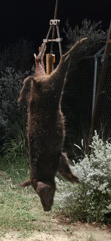 Photo - commentaire 2.