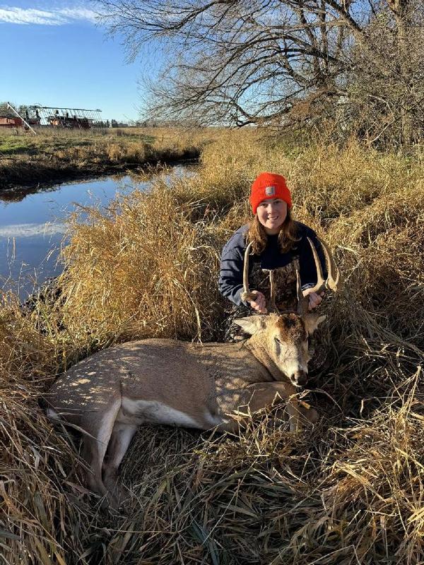 Photo - commentaire&nbsp;5.