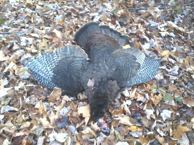 All I need is mashed potatoes and gravy