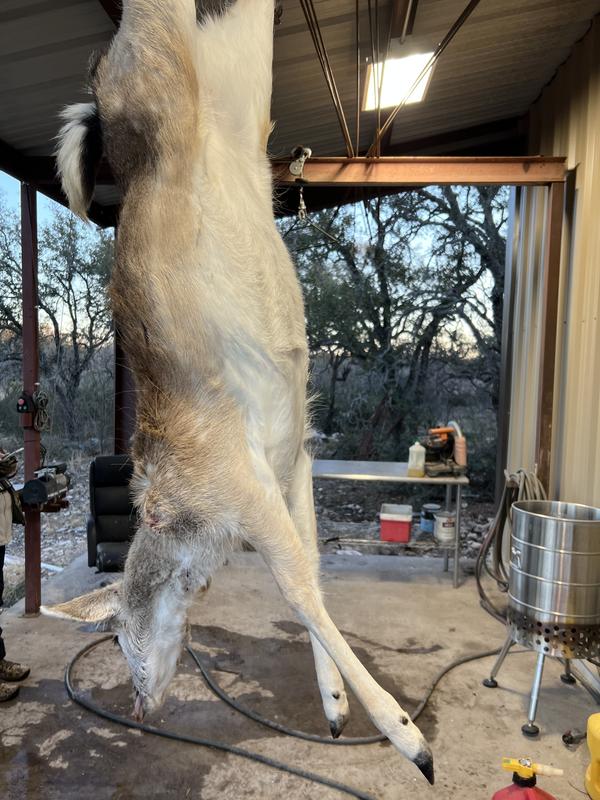 Photo - commentaire 4.