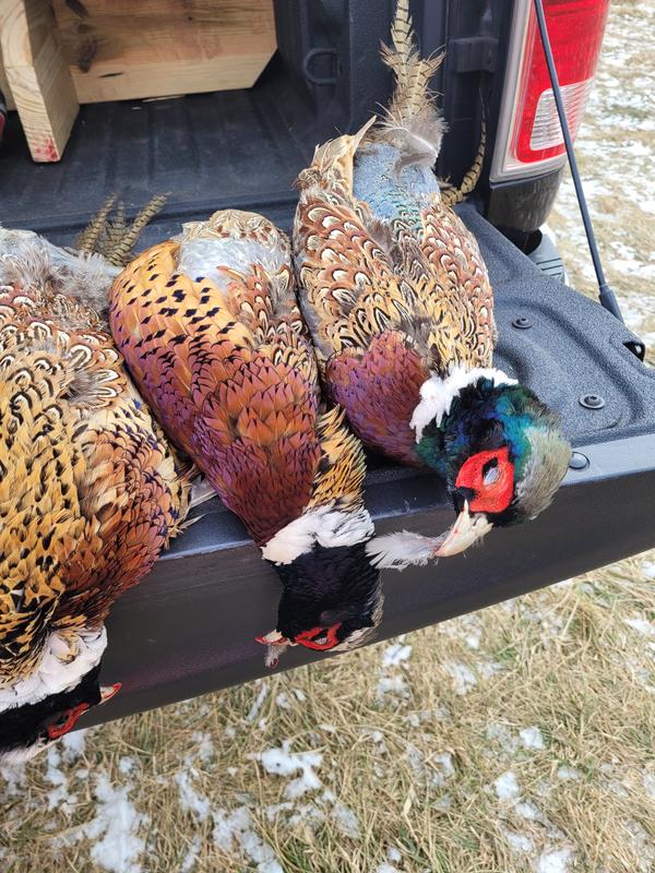WE20GT7 | Winchester Ammunition