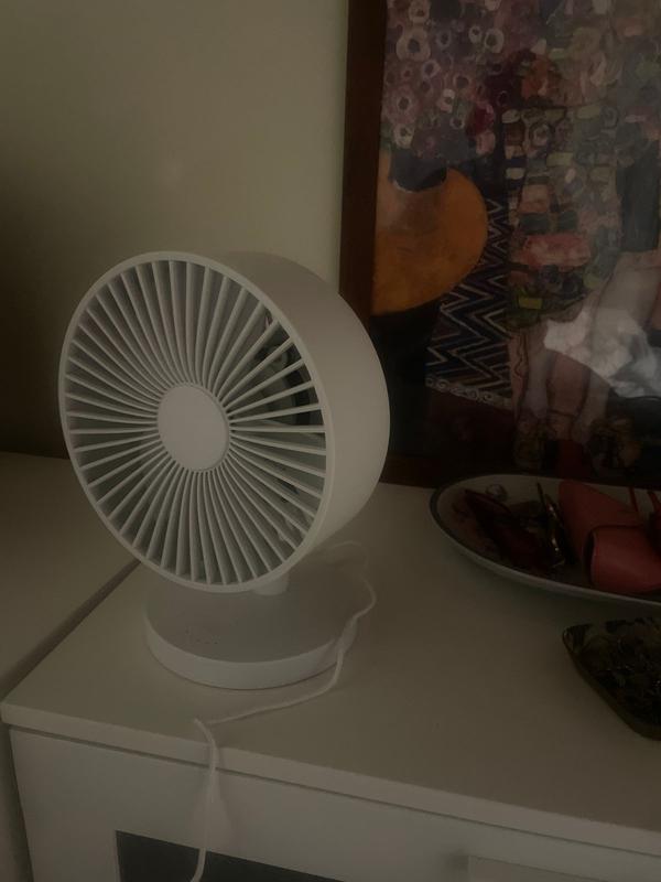 Review photo 4.