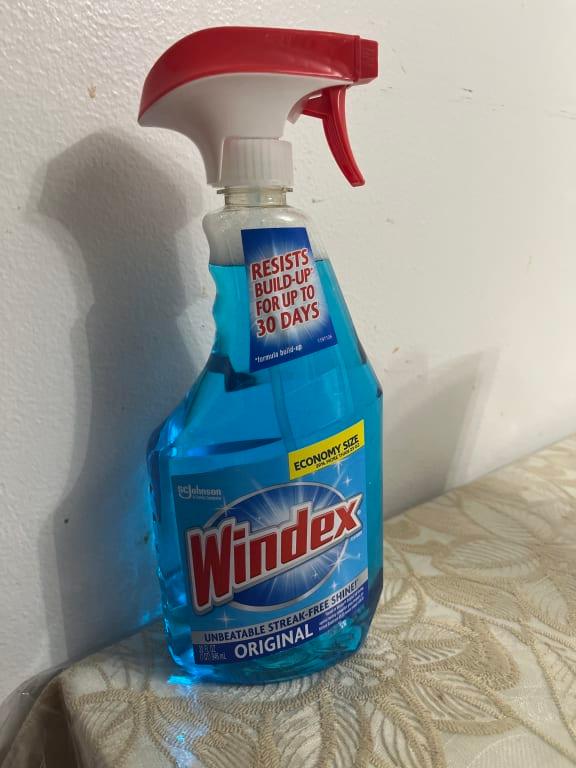 Windex Multisurface Vinegar 23-fl oz Pump Spray Glass Cleaner in