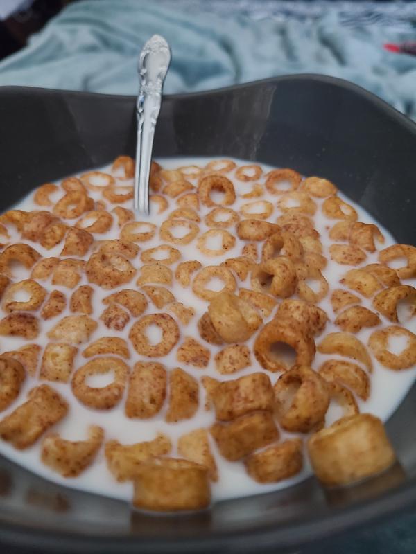 Cinnamon Vanilla Kashi Go cereal