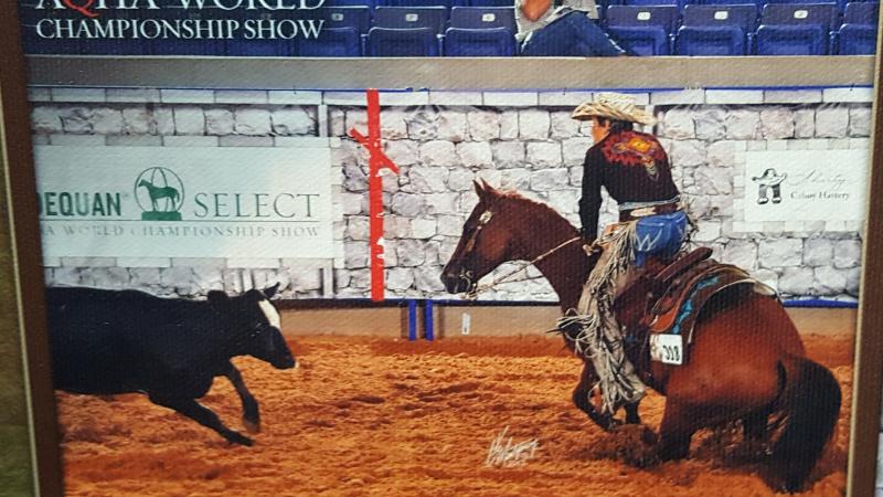 Top 5 in AQHA Select World