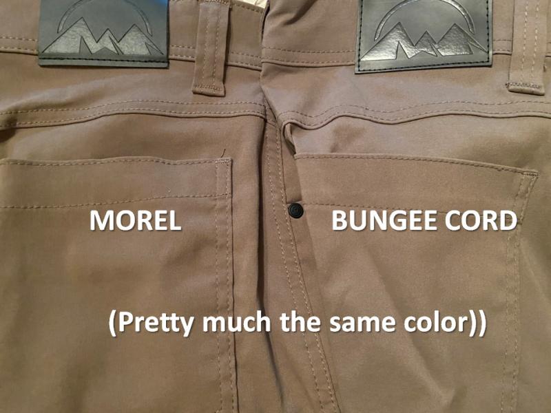 These two colors are nearly identical. Morel leans a little more brown, Bungee more green.
