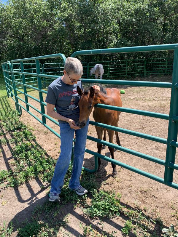 Playin with a foal at a horse rescue in my Wranglers