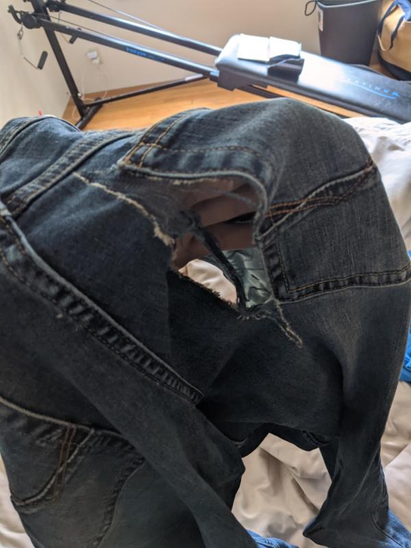 my whole ..... was hanging out in the field