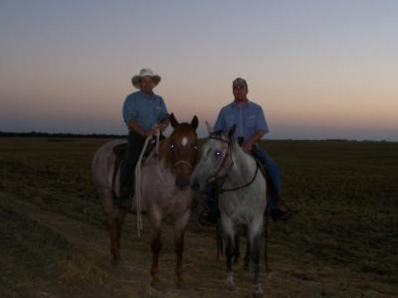 comfortable in Wranglers