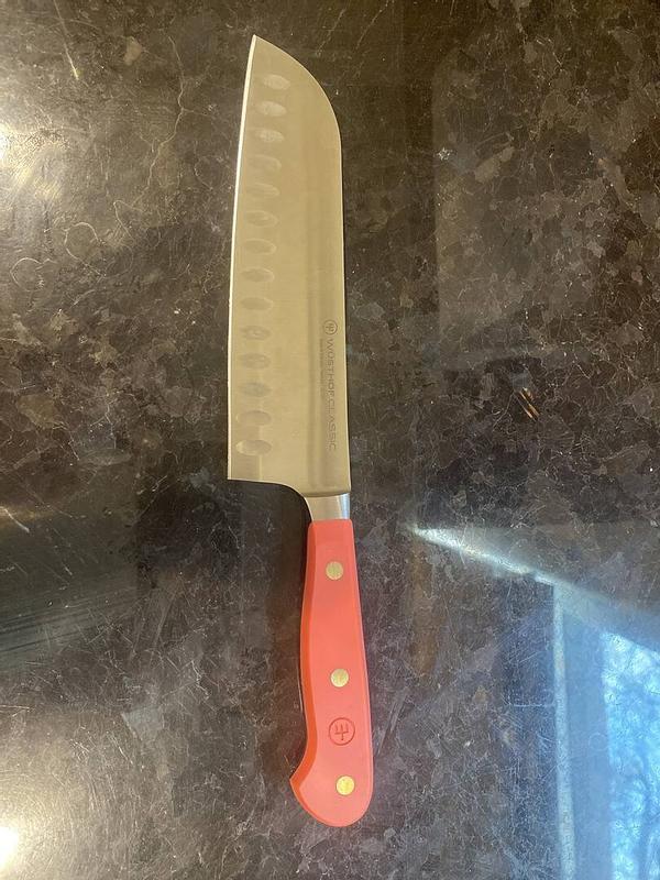 Customer photo for "Santoku"