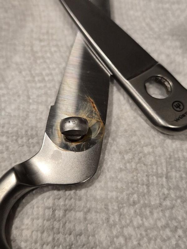 Review Thumbnail Image 2 270758339