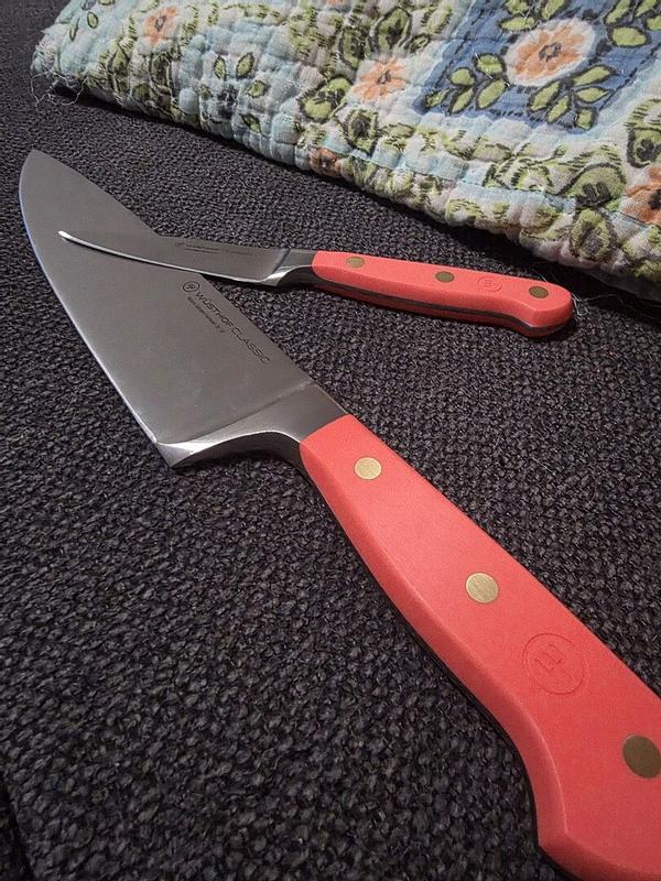 Customer photo for "Coral Perfection"