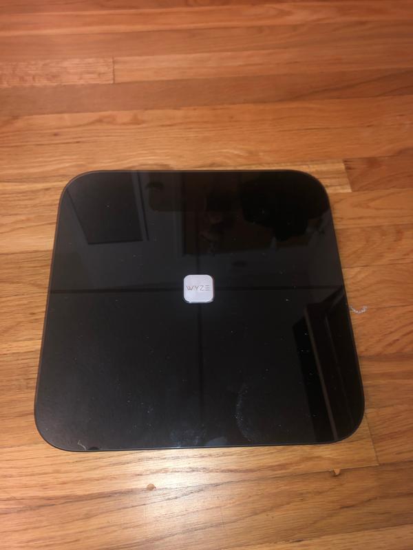 Wyze Scale Review: Best smart scale for the money - Dignited