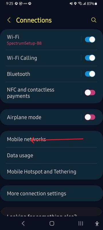 SETTINGS/CONNECTIONS/MOBILE NETS