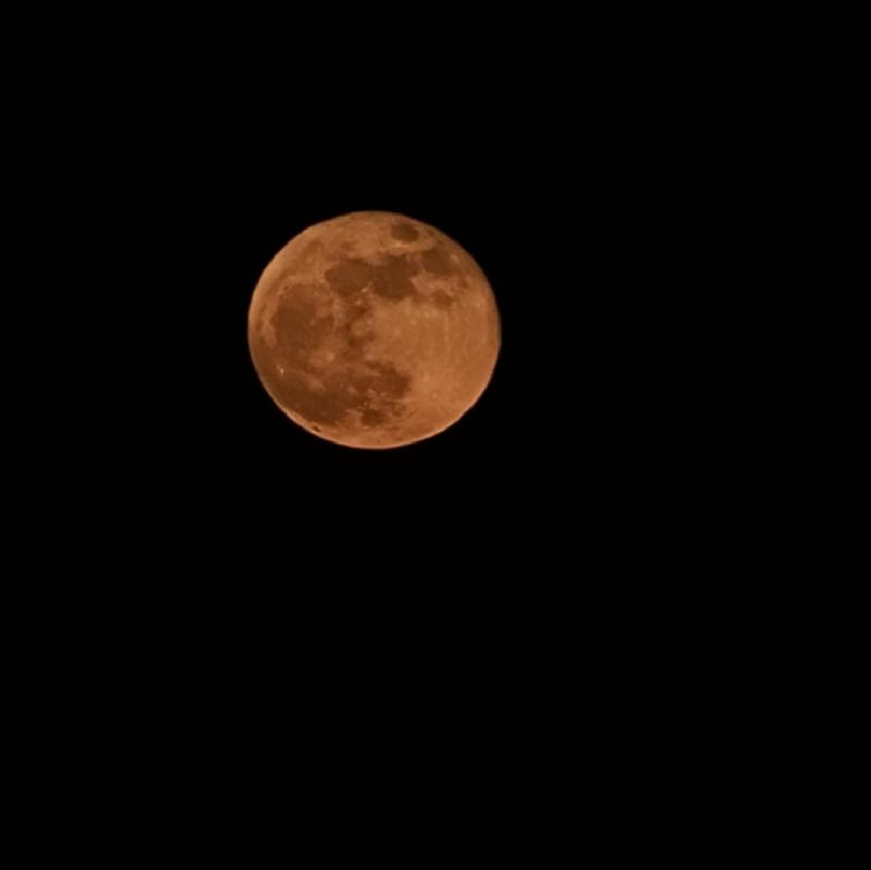 This phone made the moon look like the moon