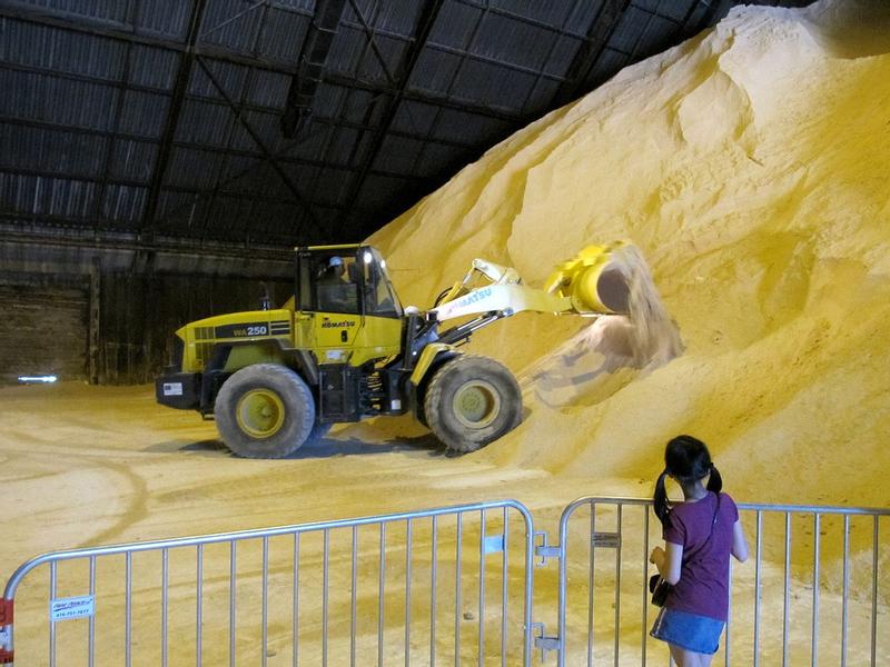 Parker House Style Yeast Rolls Sister Schubert S