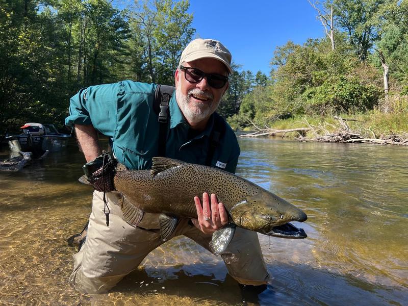 限定品1000個 リリパット HAPPY CAMPERS 限定品 Happy Camper Cabernet