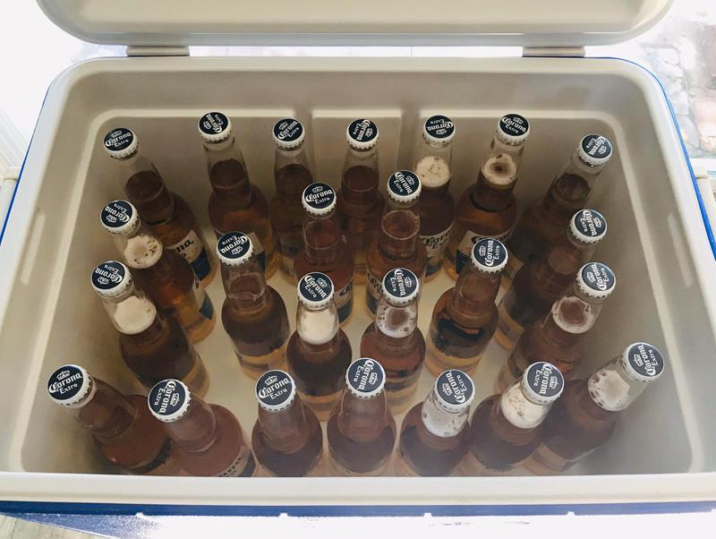 Corona Beer Cooler Review