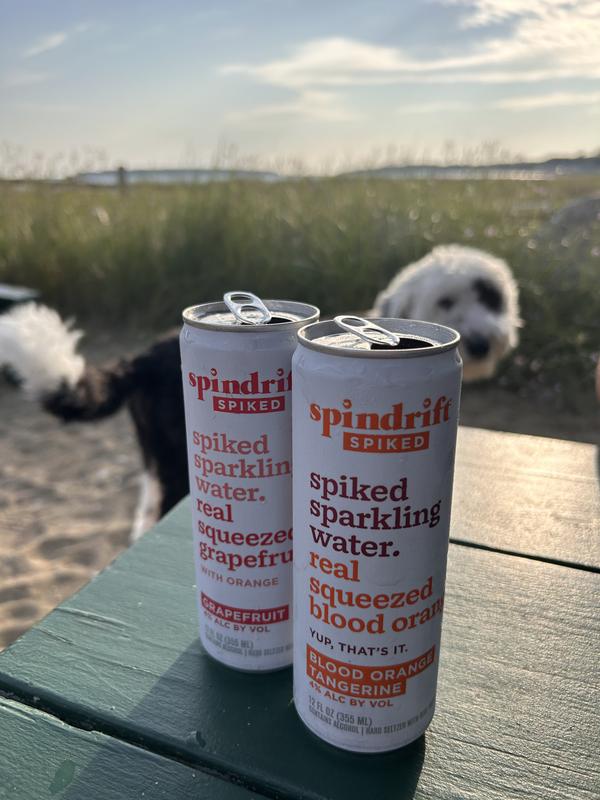 Spindrift Spiked Paradise Variety | Total Wine & More