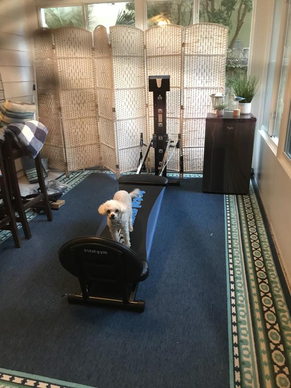 Even my dog loves the total gym!