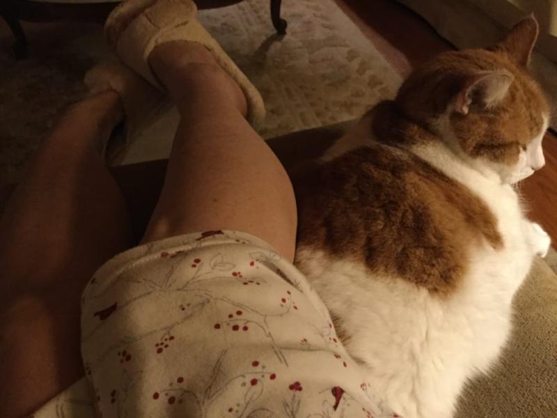 Two comfy ..... The slippers and my cat.