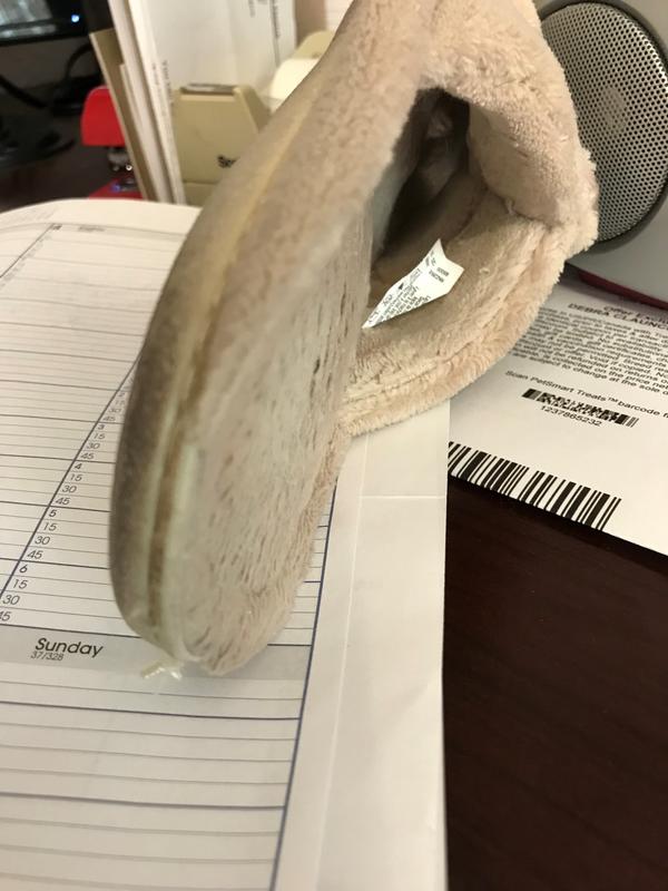 Inside of shoe shows a shoe that looks to be 4 years not 4 weeks