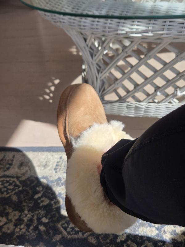 Review Thumbnail Image 0 380371621