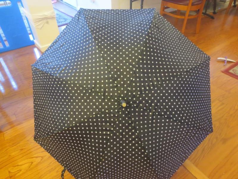 Totes Umbrella 1